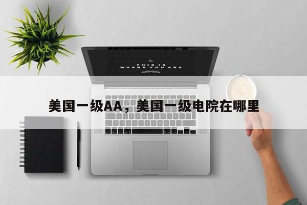 美国一级AA，美国一级电院在哪里