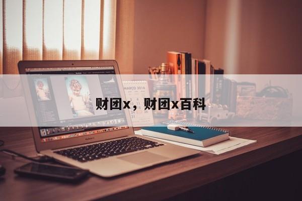 财团x，财团x百科