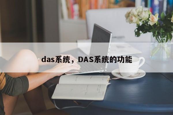 das系统，DAS系统的功能