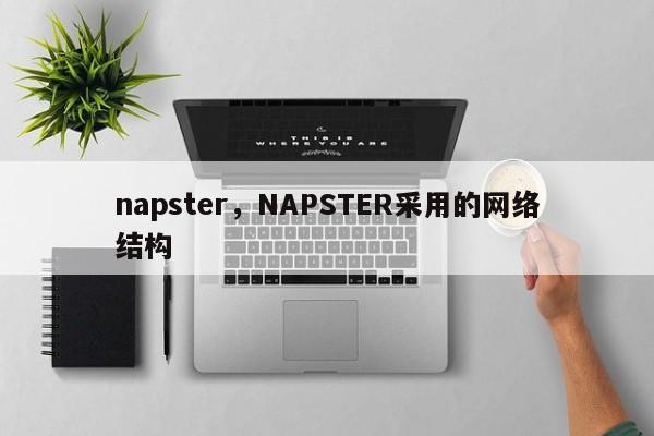 napster，NAPSTER采用的网络结构