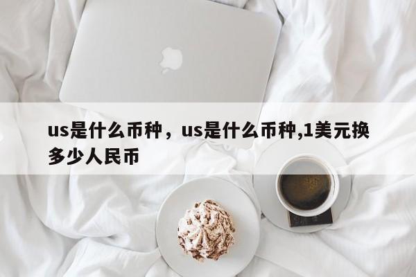 us是什么币种，us是什么币种,1美元换多少人民币