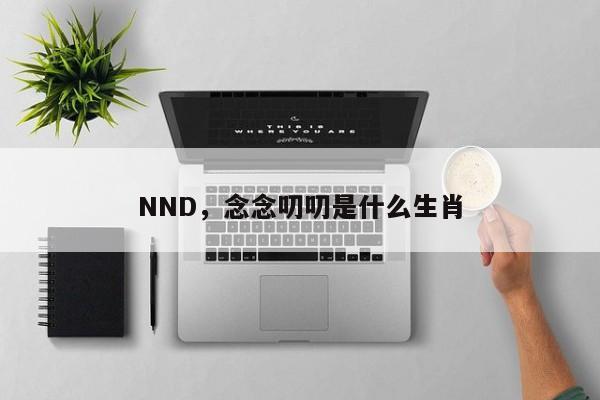 NND，念念叨叨是什么生肖