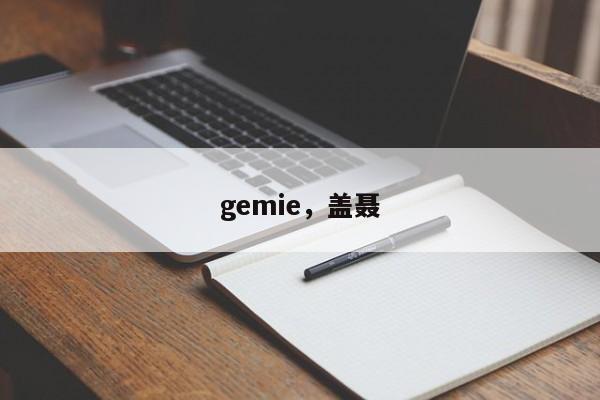 gemie，盖聂