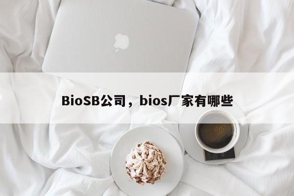 BioSB公司，bios厂家有哪些