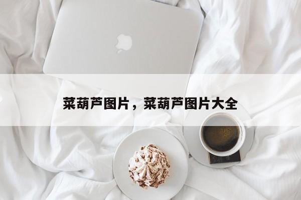 菜葫芦图片，菜葫芦图片大全