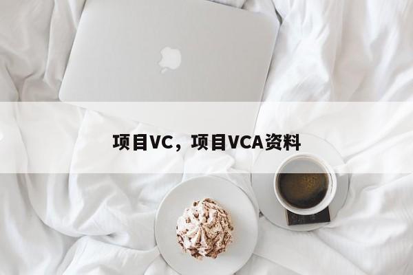 项目VC，项目VCA资料