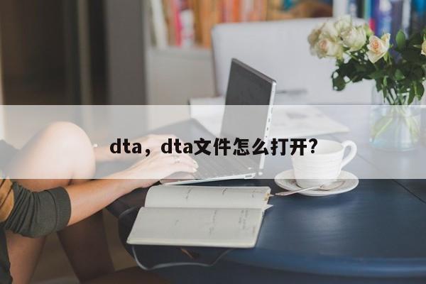 dta，dta文件怎么打开?