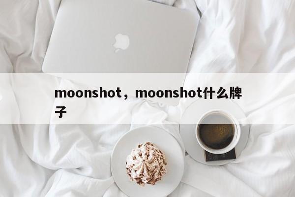moonshot，moonshot什么牌子